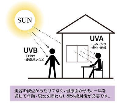 UVA波とUVB波の影響